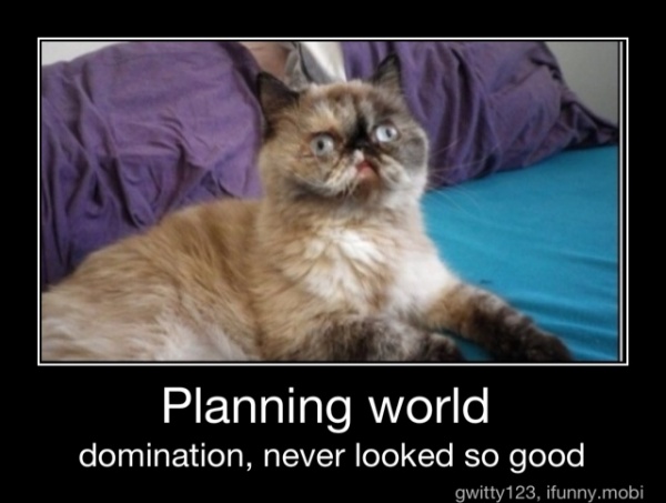 Planning world domination, never looked so good - Planning world domination,  never looked so good - )
