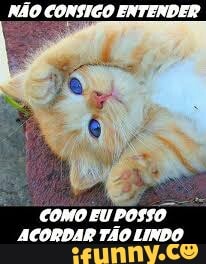 AA
ACORDAR TÃO LINDO