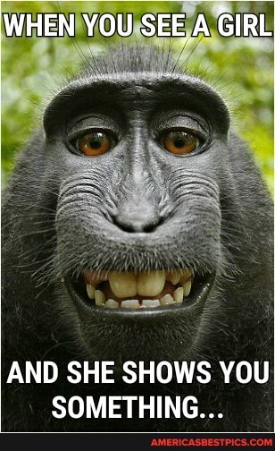 WHEN YOU SEE A GIRL
AND SHE SHOWS YOU SOMETHING...
