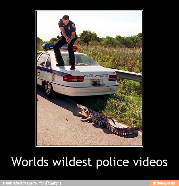 Worlds wildest police videos - Worlds wildest police videos
