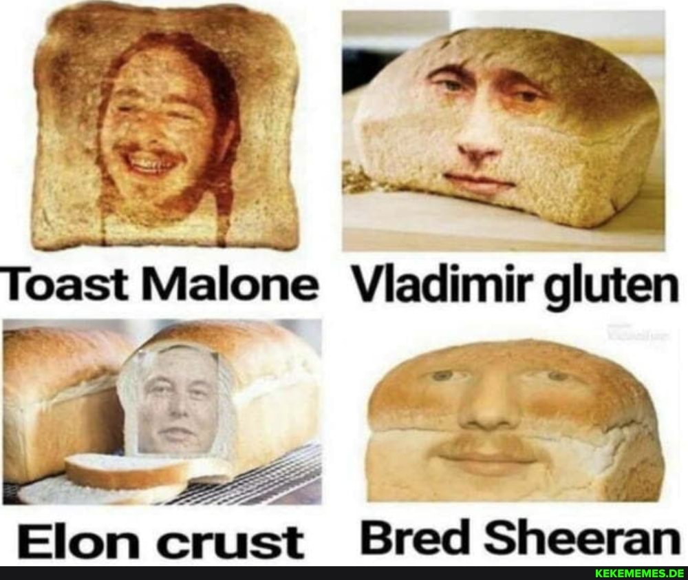 Elon crust Bred Sheeran