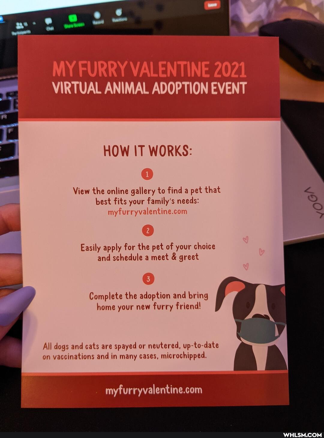 MY FURRY VALENTINE 2021
VIRTUAL ANIMAL ADOPTION EVENT
HOW IT WORKS:
View the online gallery to find a pet that best fits your family's needs:
Easily apply for the pet of your choice and schedule a meet & greet
Complete the adoption and bring home your new furry friend!
All dogs and cats are spayed or neutered, up to-date on vaccinations and in many cases, microchipped.