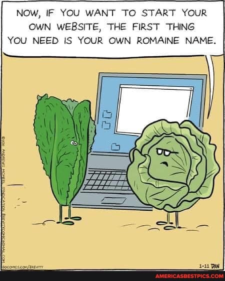 Now, IF YOU WANT TO START YOUR OWN WEBSITE, THE FIRST THING YOU NEED IS YOUR OWN ROMAINE NAME.