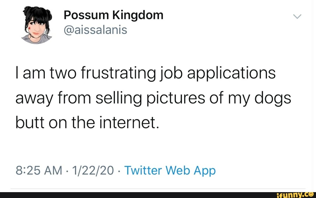 am two frustrating job applications away from selling pictures of my dogs butt on the internet.