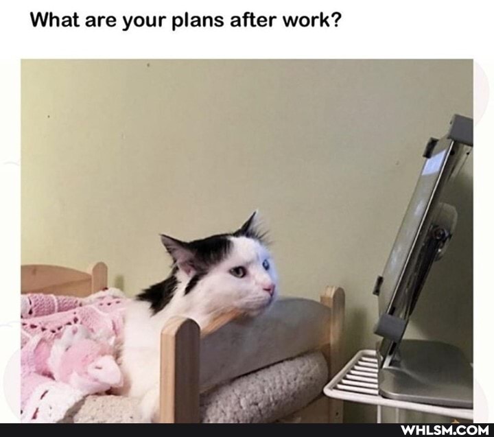 What are your plans after work?