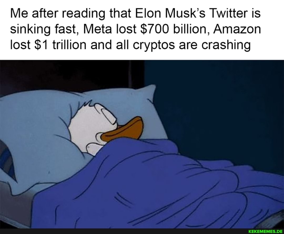 Me after reading that Elon Musk's Twitter is sinking fast, Meta lost $700 billio