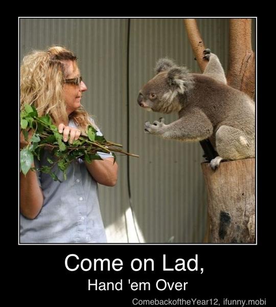 Come on Lad,
Hand 'em Over - Come on Lad,
Hand 'em Over