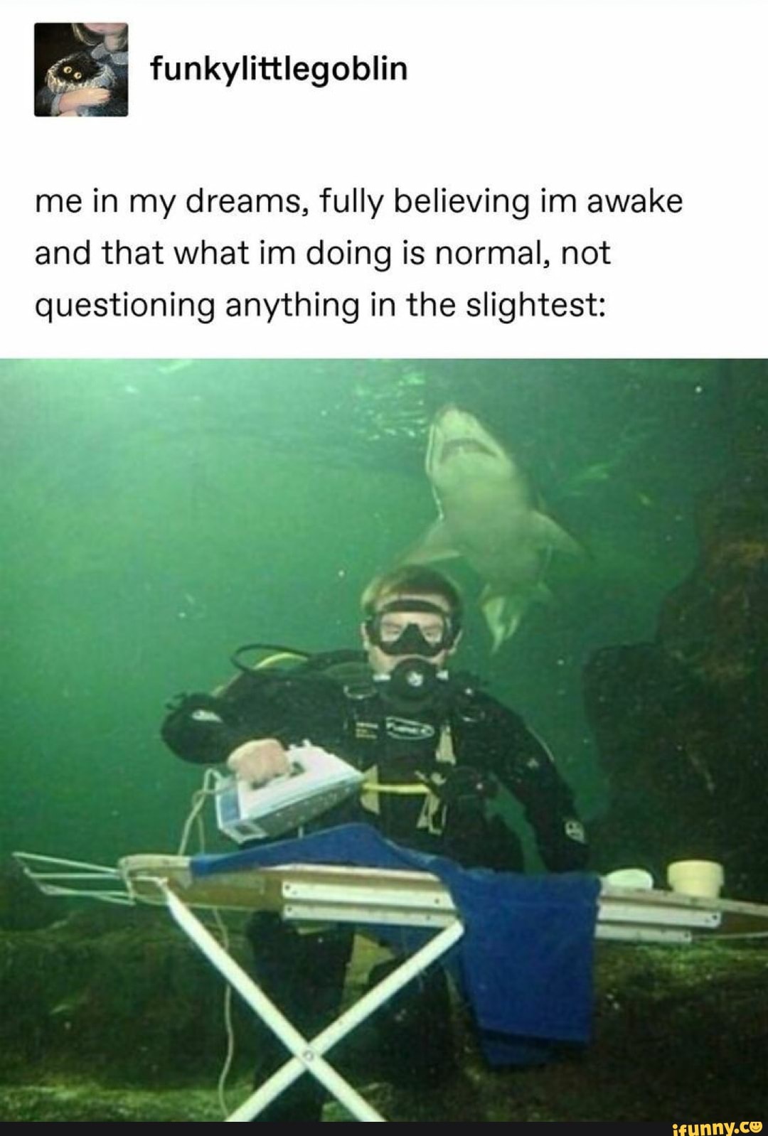 me in my dreams, fully believing im awake and that what im doing is normal, not
questioning anything in the slightest: