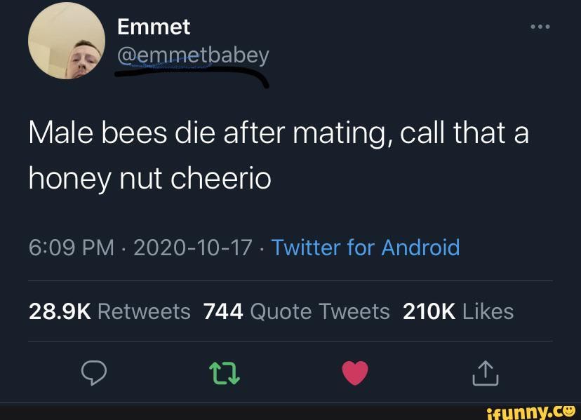 Male bees die after mating, call that a honey nut cheerio PM - 2020-10