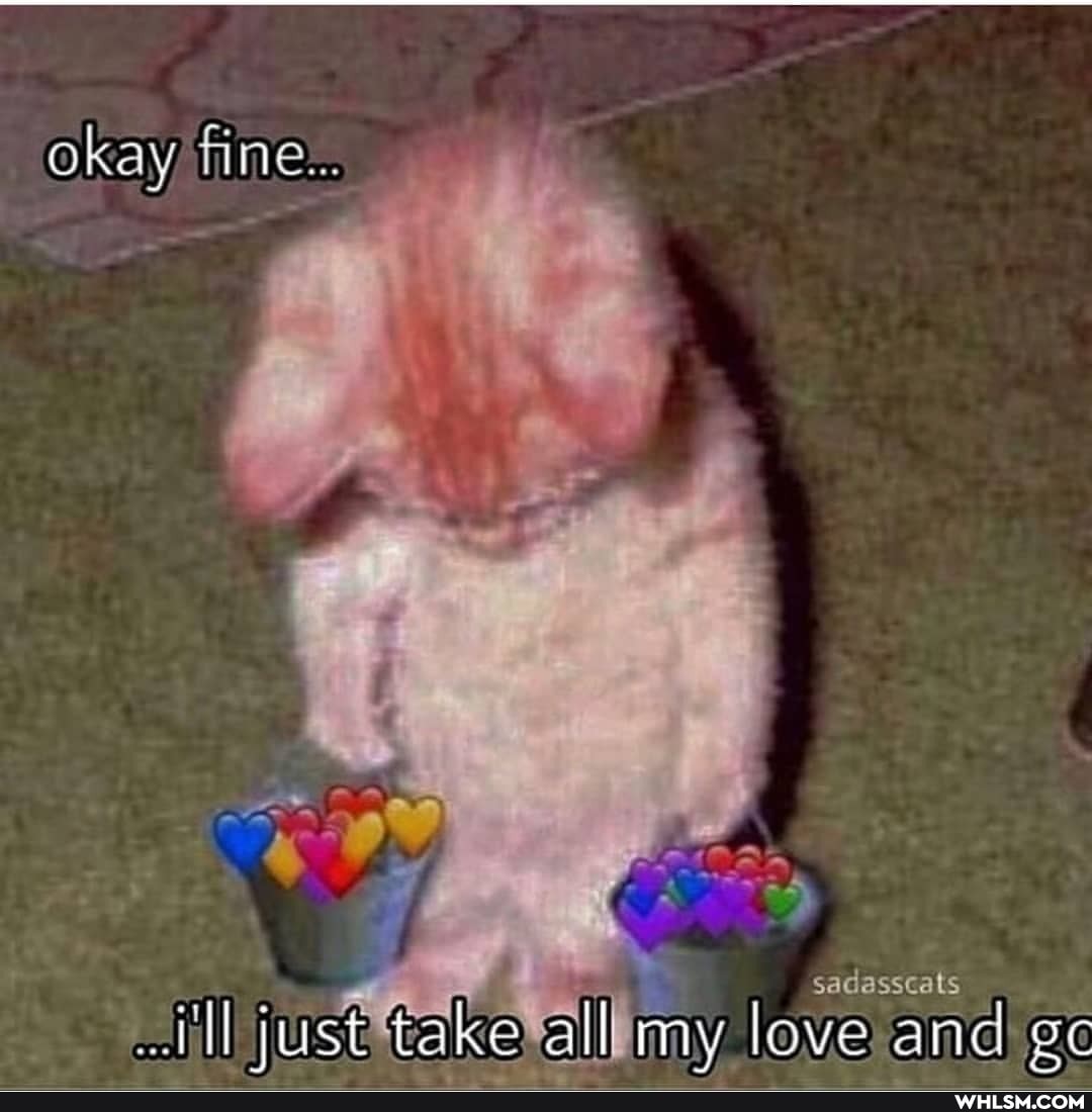 okay, fine:..
sadasscals
ill just take all my love and ec