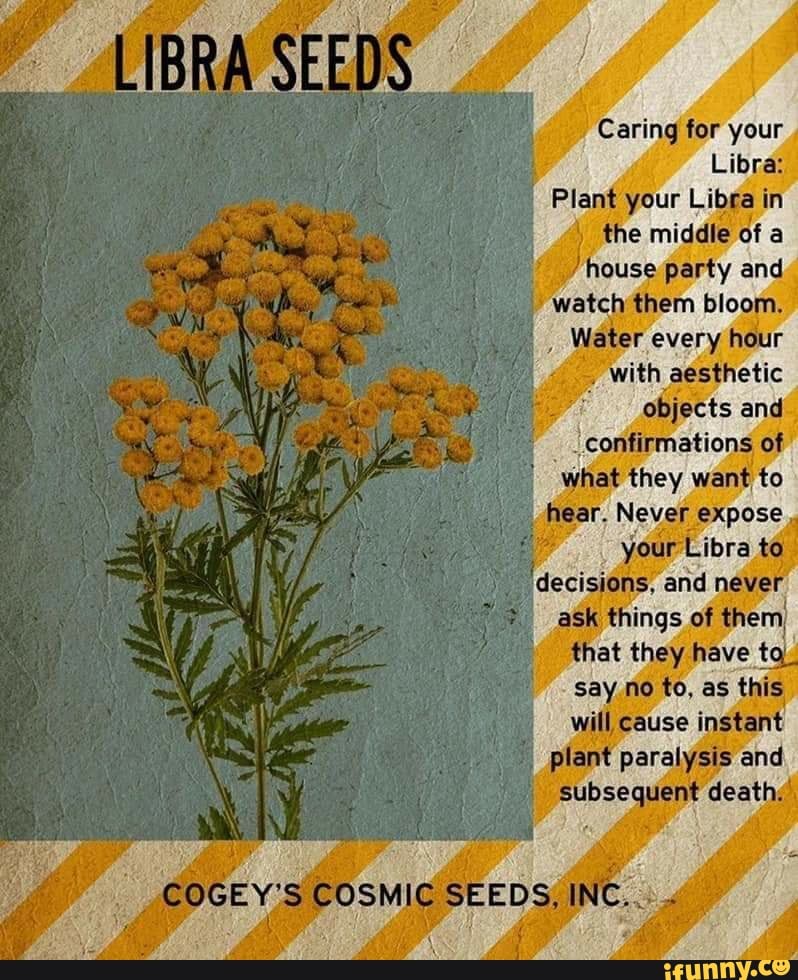 Caring for your Libra Plant your Libra in the middle of a