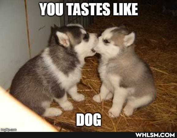 YOU TASTES LIKE
