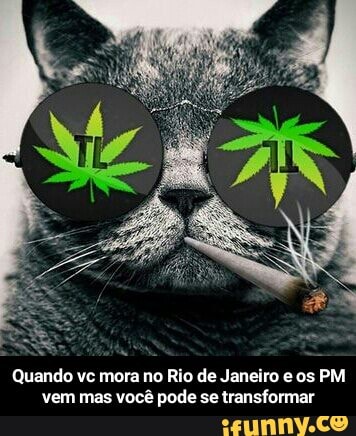 Quando vc mora no Rio de Janeiro e os PM
vem mas você pode se transformar - Quando vc mora no Rio de Janeiro e os PM vem mas você pode se transformar