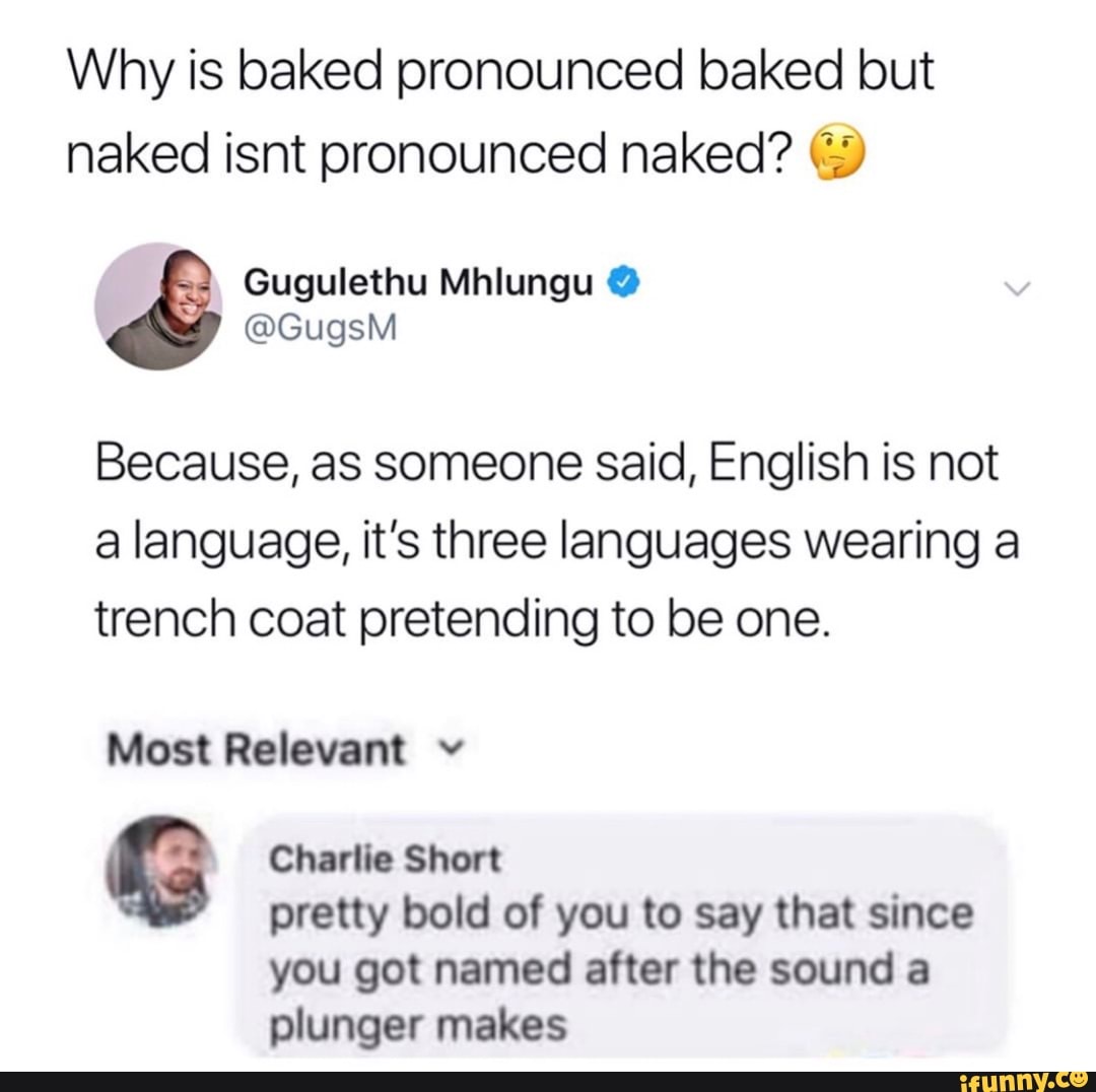 Plunger memes. Best Collection of funny Plunger pictures on iFunny Brazil