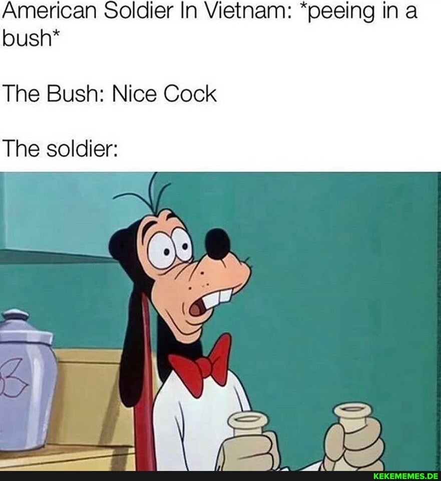 American Soldier In Vietnam: "peeing in bush*
The Bush: Nice Cock
The soldier: