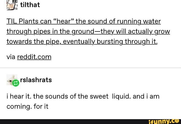 TIL Plants can "hear" the sound of running water through pipes in the