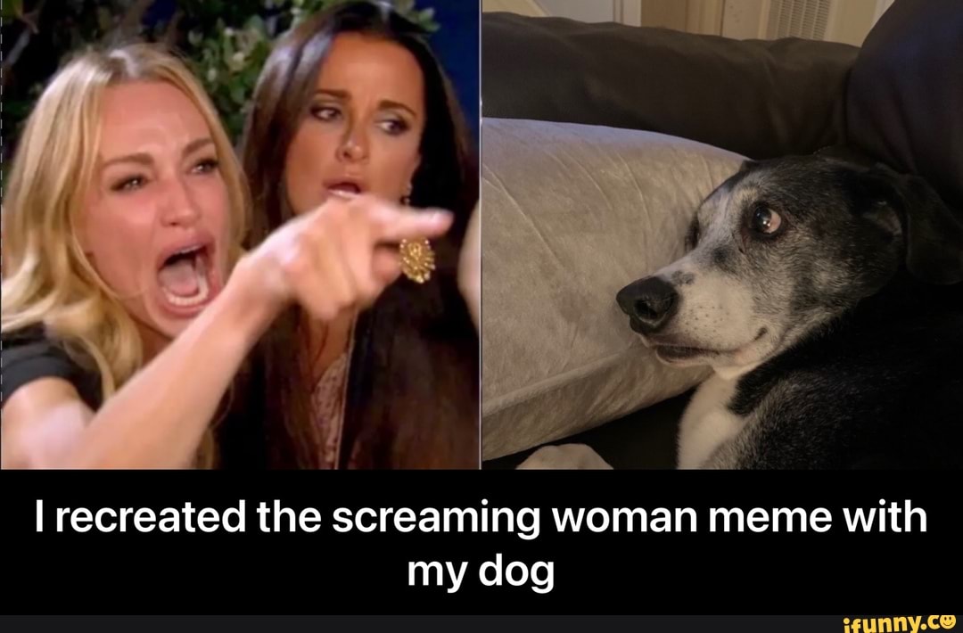 I recreated the screaming woman meme with my dog - I recreated the screaming woman meme with my dog