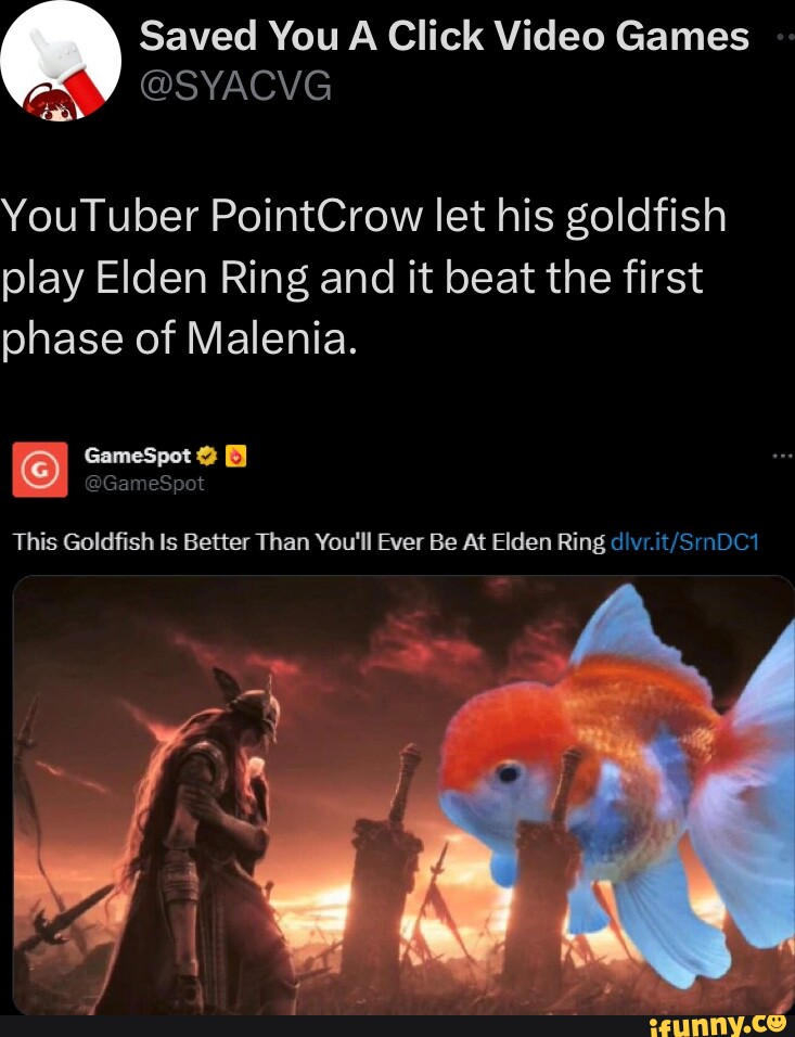 Saved You A Click Video Games YouTuber PointCrow let his goldfish play ...