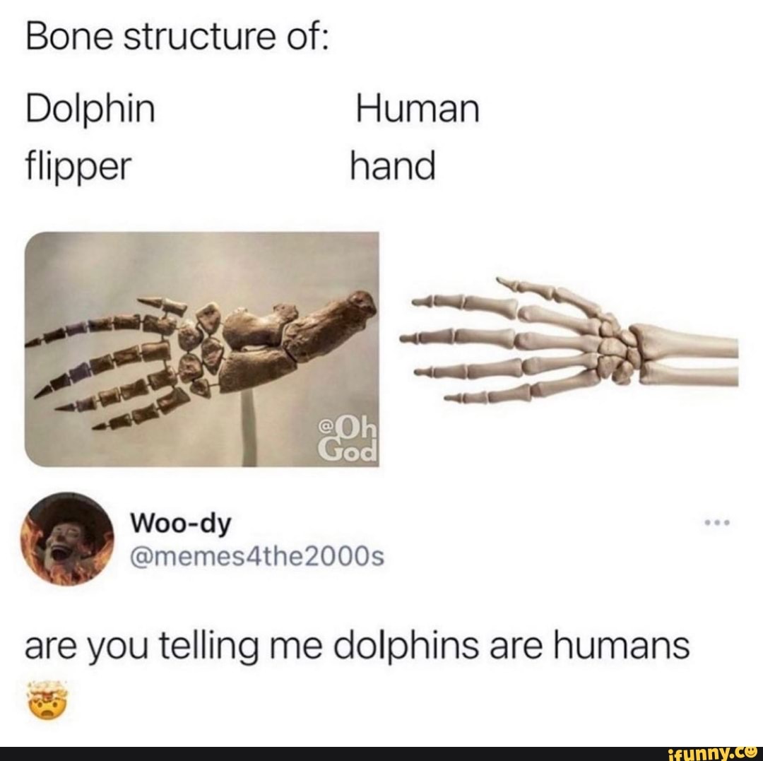 dolphin fin vs human hand        
        <figure class=