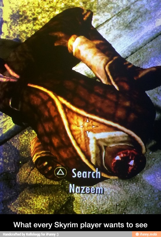 What every Skyrim player wants to see - What every Skyrim player wants to see