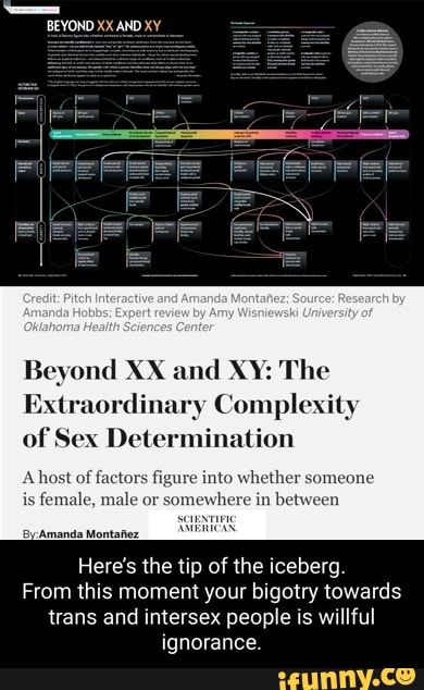 Beyond Xx And Xy The Extraordinary Complexity Of Sex Determination A Host Of Factors Figure 6251