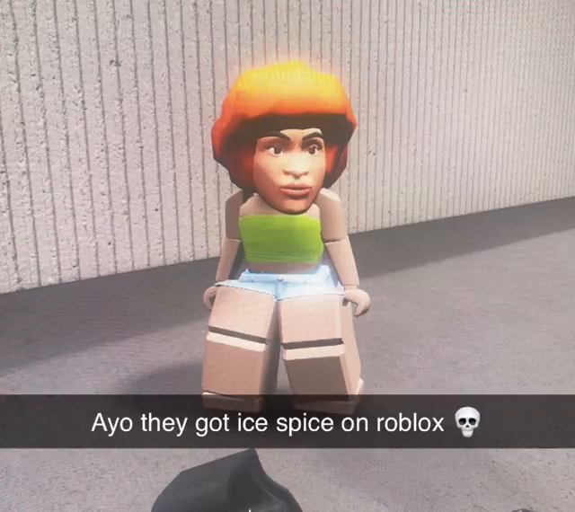 Spicy Roblox Memes