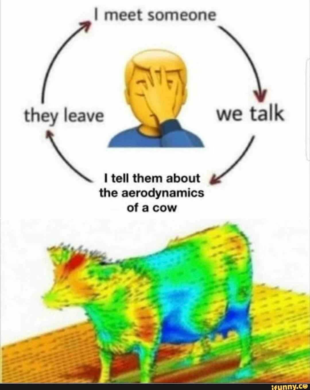 Meet someone they leave tell them about the aerodynamics of cow - iFunny