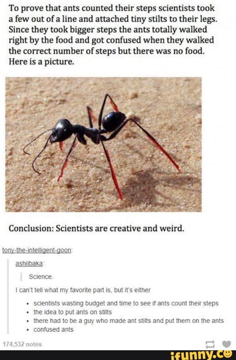 To prove that ants counted their steps scientists took
a few out ofa line and attached tiny stilts to their legs.
Since they took bigger steps the ants totally walked
right by the food and got confused when they walked
the correct number of steps but there was no food.
Here is a picture.
Conclusion: Scientists are creative and weird.
tony-the-intelligent-goon:
ashiibaka:
scientists wasting budget and time to see if ants count their steps
the idea to put ants on stits
there had to be a guy who made ant stits and put them on the ants
confused ants
174,532 notes
av