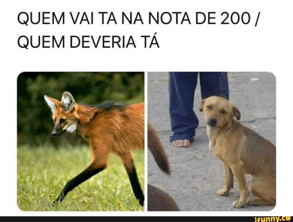 QUEM VAI TA NA NOTA DE 200 QUEM DEVERIA TÁ