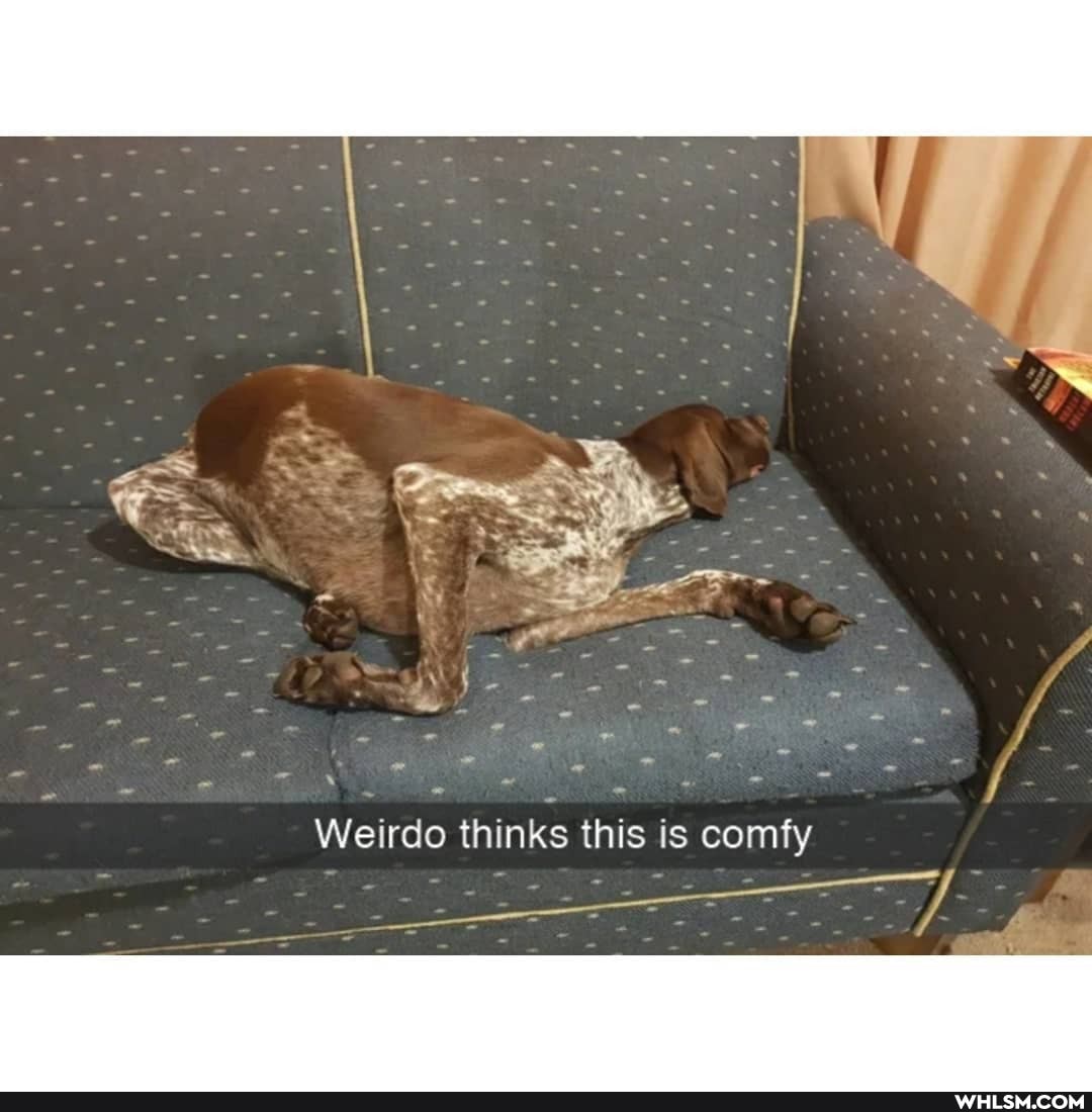 Weirdo thinks this is comfy