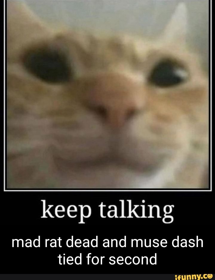 keep talking
mad rat dead and muse dash tied for second
