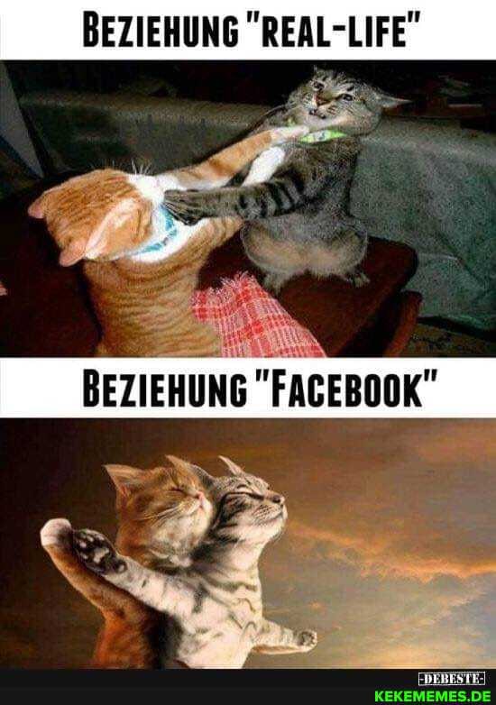 BEZIEHUNG LIFE"
BEZIEHUNG "FACEBOOK"