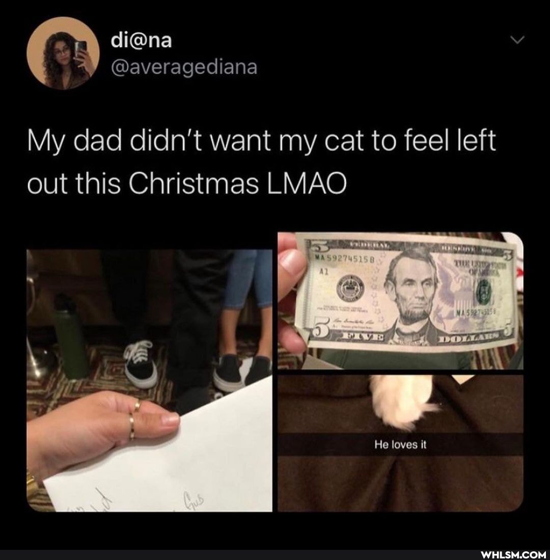 My dad didn't want my cat to feel left out this Christmas LMAO
He loves it