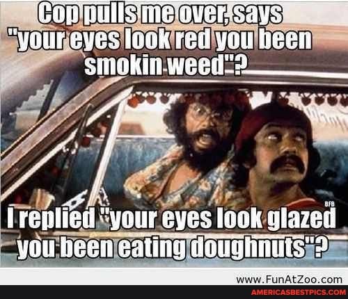 Son Says
"your sves loak red you heen
siigkin. weeds
renlied "your eves leok gtazeil you heen cating
