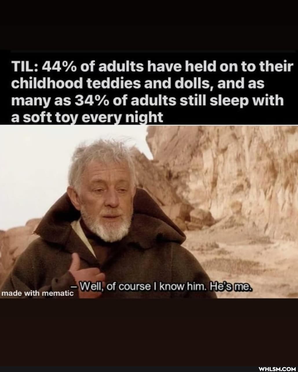 TIL: 44% of adults have held on to their childhood teddies and dolls, and as many as 34% of adults still sleep with a soft toy every night
Well, of course I know him.