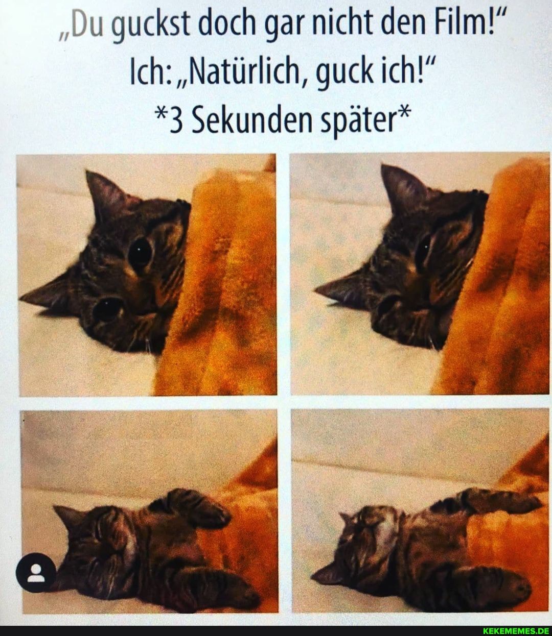 'Du guckst doch gar nicht den Film!"
Ich: "Natürlich, guck ich
*3 Sekunden später*