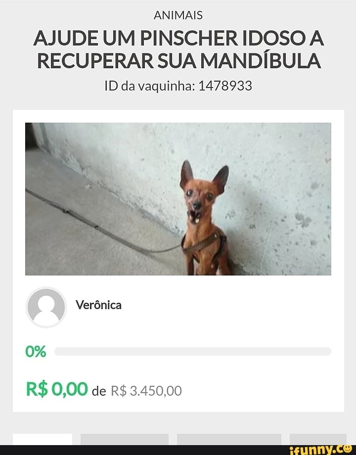 ANIMAIS
AJUDE UM PINSCHER IDOSO A RECUPERAR SUA MANDÍBULA
ID da vaquinha: 1478933
Verônica
0%
R$ 0,00 de R$ 3.450,00