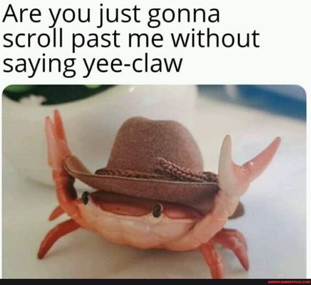 Are you just gonna scroll past me without saying yee-claw