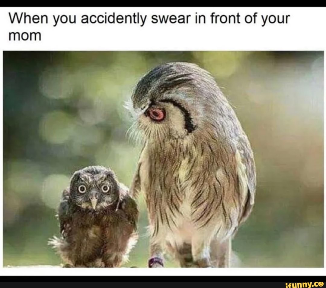 When you accidently swear in front of your mom by - iFunny