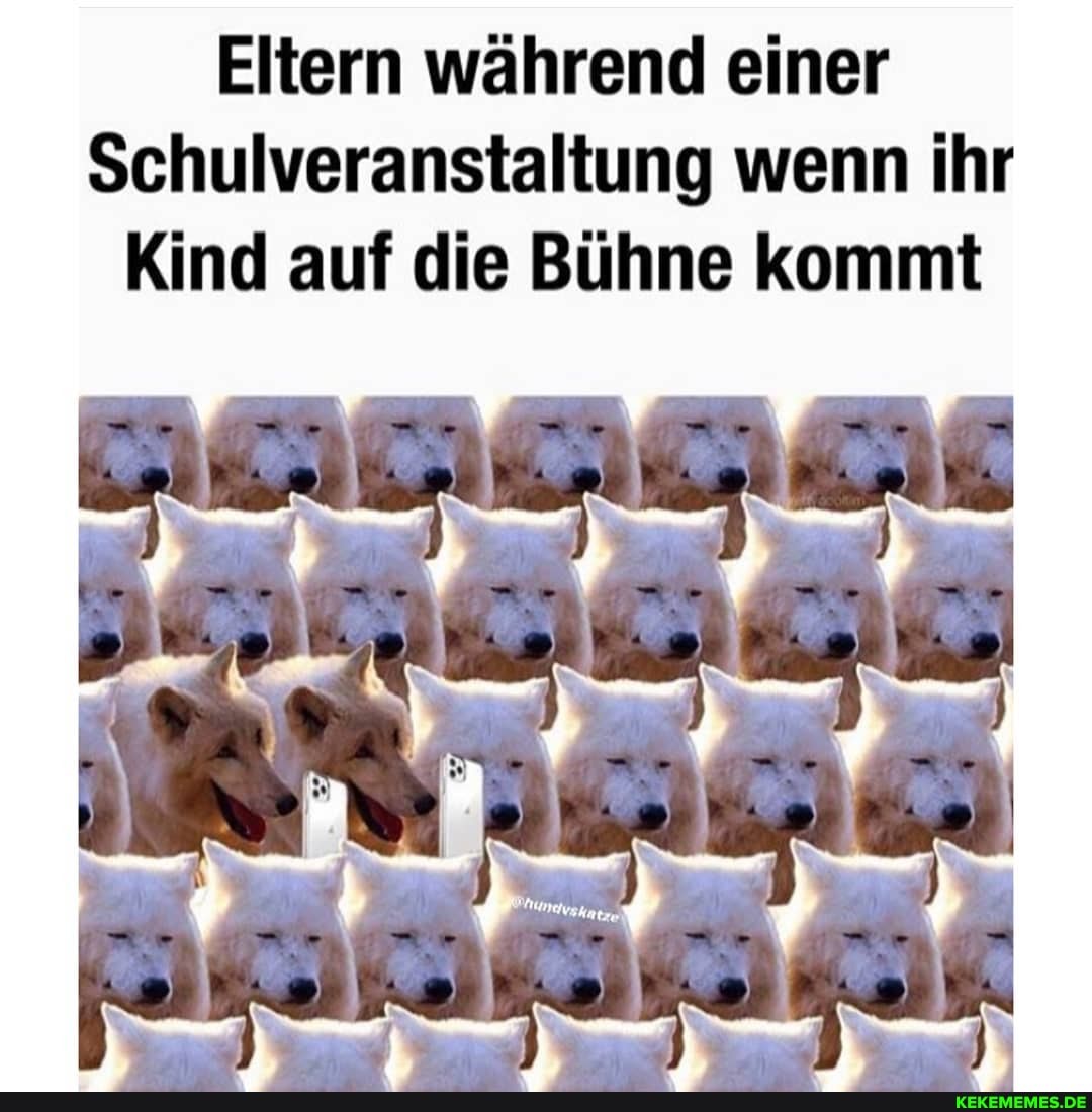 Eltern während einer
Schulveranstaltung wenn ihr
Kind auf die Bühne kommt