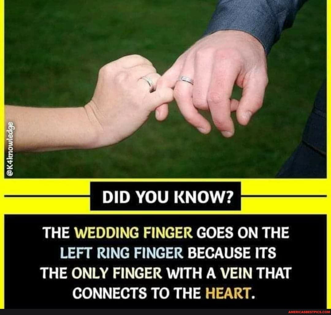 DID YOU KNOW?
THE WEDDING FINGER GOES ON THE LEFT RING FINGER BECAUSE ITS THE ONLY FINGER WITH A VEIN THAT CONNECTS TO THE HEART.