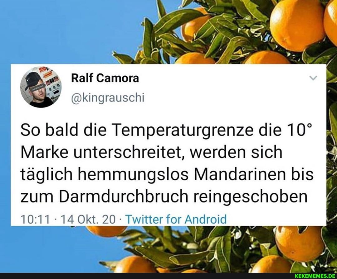 Ralf Camora
@kingrauschi
So bald die Temperaturgrenze die
Marke unterschreitet, werden sich täglich hemmungslos Mandarinen bis zum Darmdurchbruch reingeschoben
14 Okt. 20 Twitter for Android