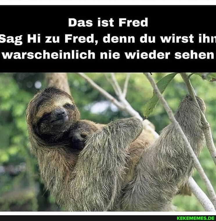 Das ist Fred ag Hi zu Fred, denn du wirst ihr warscheinlich nie wieder sehen