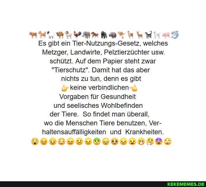 Es gibt ein Tier-Nutzungs-Gesetz, welches
Metzger, Landwirte, Pelztierzüchter usw.
schützt. Auf dem Papier steht zwar
"Tierschutz". Damit hat das aber nichts zu tun, denn es gibt keine verbindlichen
Vorgaben für Gesundheit und seelisches Wohlbefinden der Tiere. So findet man überall, wo die Menschen Tiere benutzen, Ver- haltensauffälligkeiten und Krankheiten.