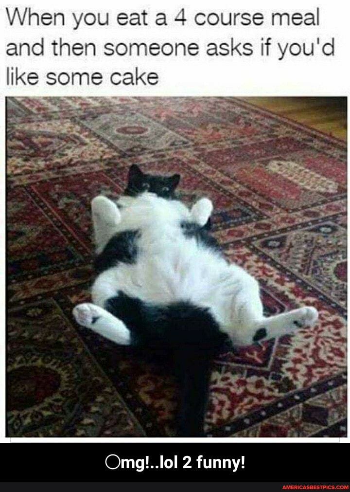When you eat a 4 course meal and then someone asks if you'd like some cake
2 funny! - ○mg!..lol 2 funny!