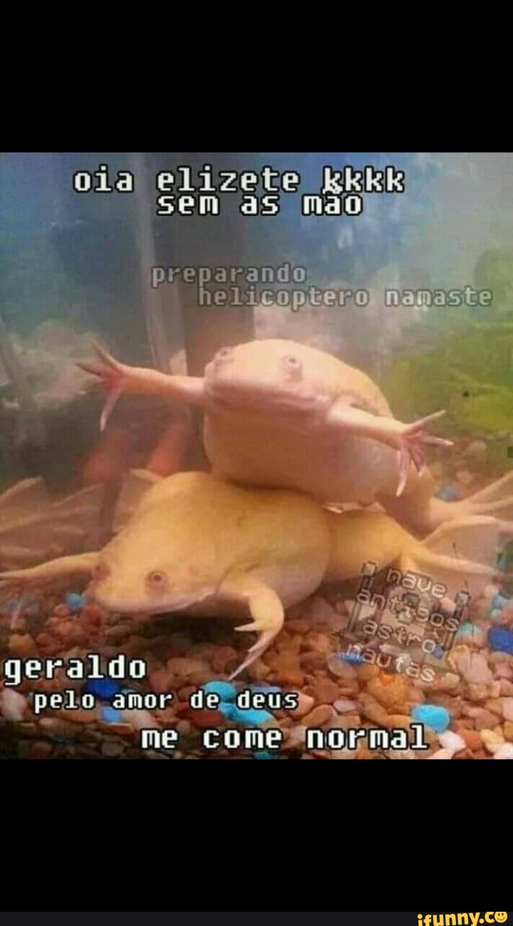 cão
gera lado
ade nes
ne iial