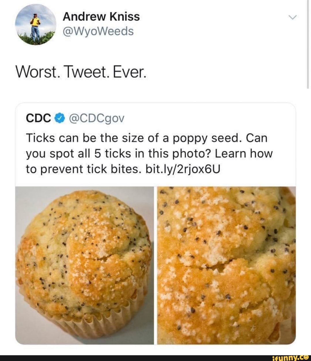 Andrew Kniss why WyoWeeds Worst. Tweet. Ever. CDC CDCgov Ticks can