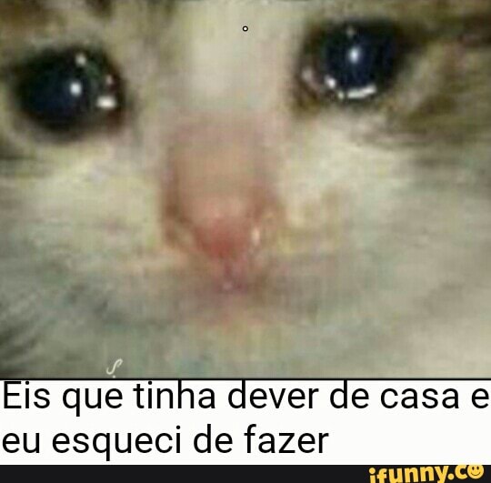 Eis que tinha dever de casa e
eu esqueci de fazer