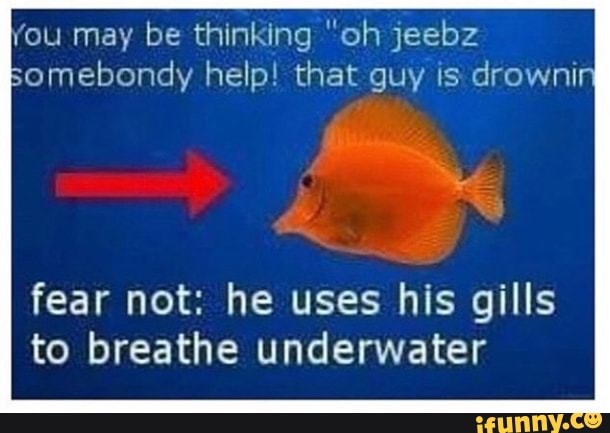 You may be thinking "oh jeebz
Bomebondy help! that guy is drown
fear not: he uses his gills to breathe underwater