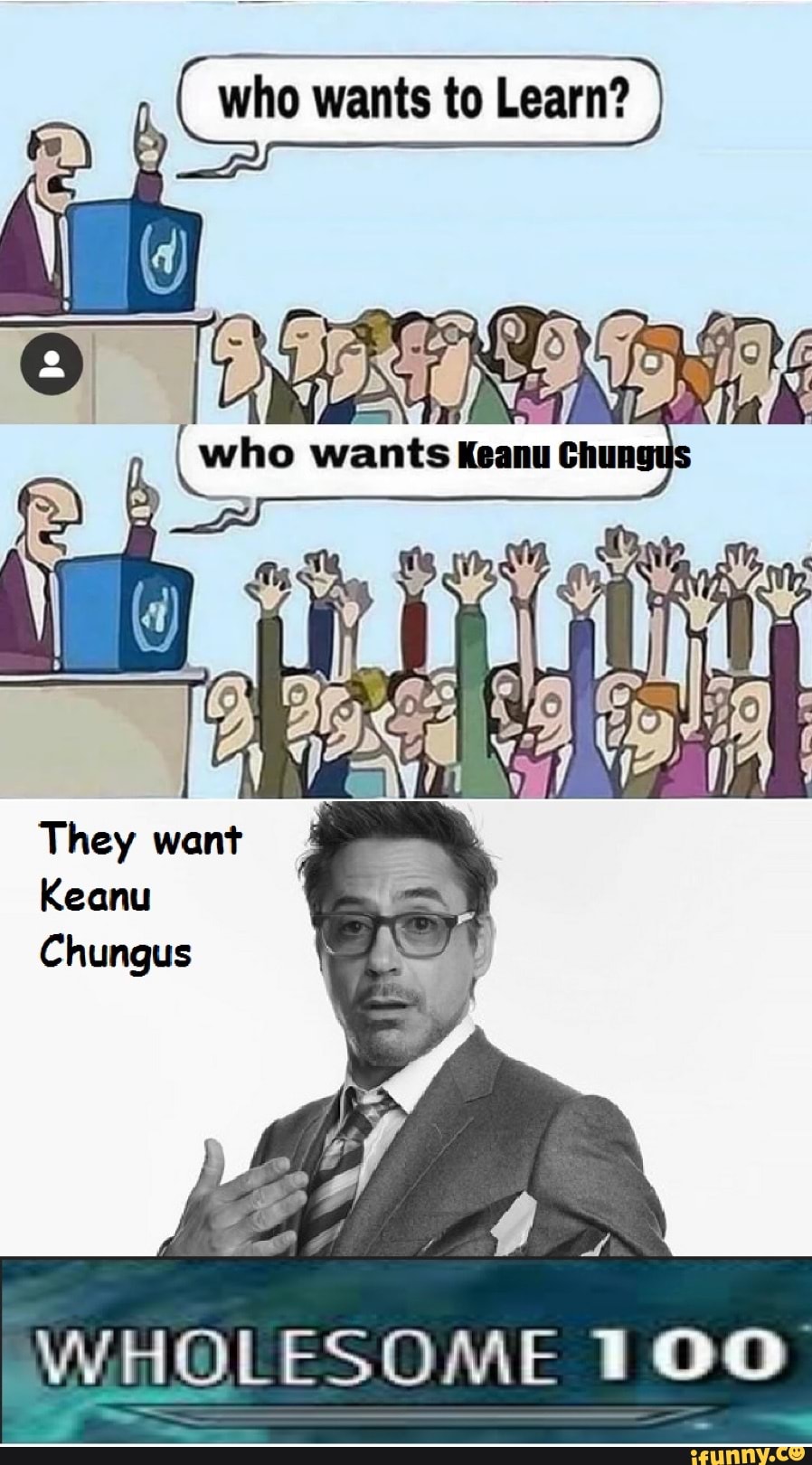 Wholesome 100 keanu chungus